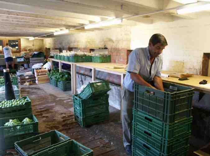 Click to see next picture