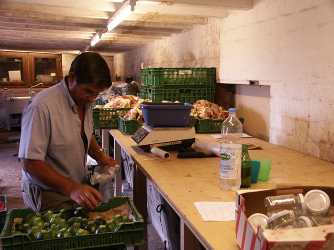 Click to see next picture