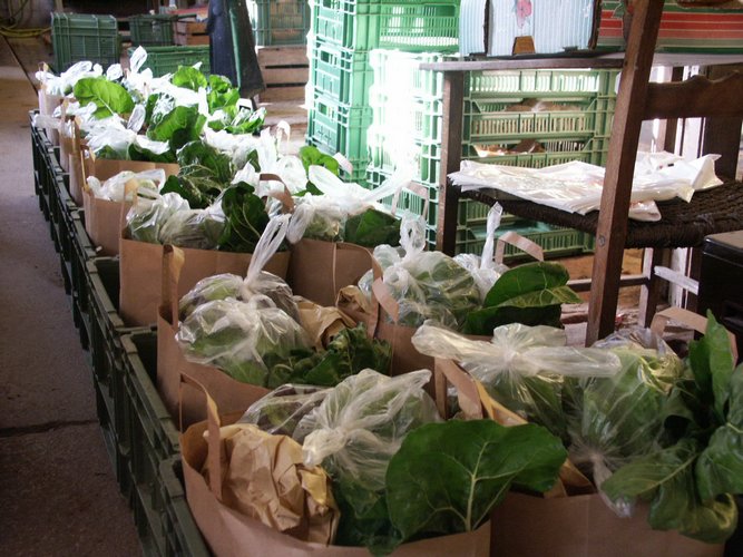 Click to see next picture