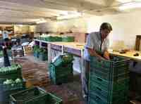 Click to see big picture (675x500 pixels; 88 KB)