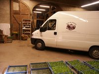 Click to see big picture (667x500 pixels; 89 KB)