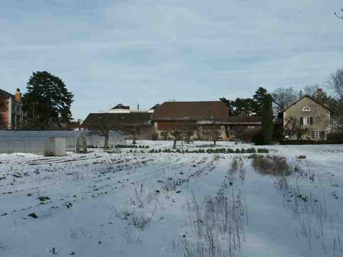 Clic ici pour voir l'image suivante