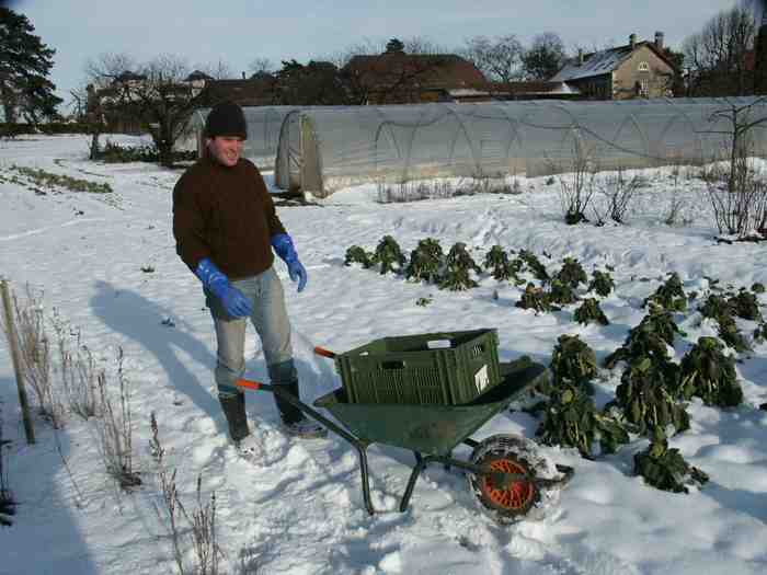 Clic ici pour voir l'image suivante