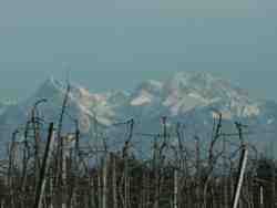 Cliquer pour agrandir l'image (700x525 : 33 KB pixels); 30.01.2004 14:52