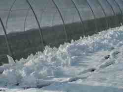 Cliquer pour agrandir l'image (700x525 :  35 KB pixels); 30.01.2004 15:24