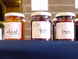 Click to see big picture (666x500 pixels; 82 KB)